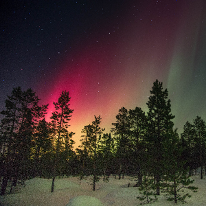 Reddish aurora with some green.