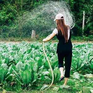 irrigation crop water