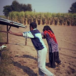 solar crop India irrigation