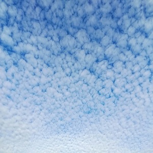 altocumulus clouds