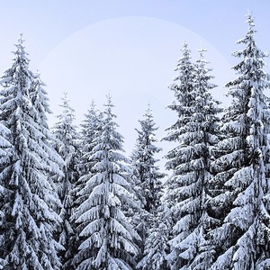 Climate