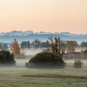 fog Switzerland