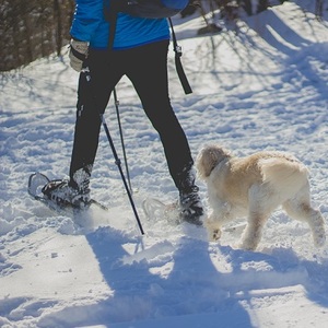 snowshoeing