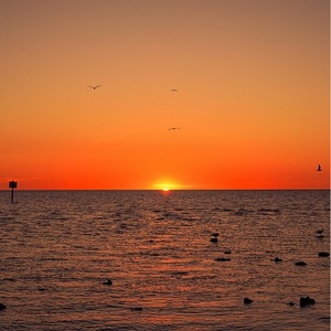 Gulf of Mexico Humid